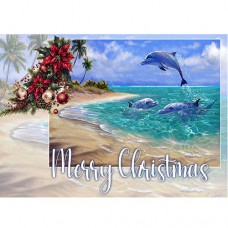 CHRISTMAS DREAMS Bahamas Dolphins